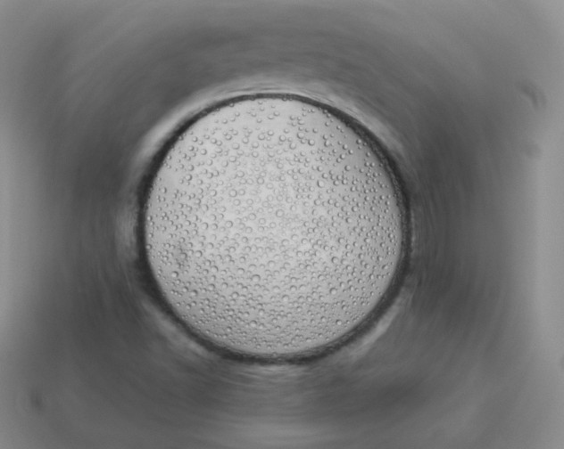 X0000114001502200910161657