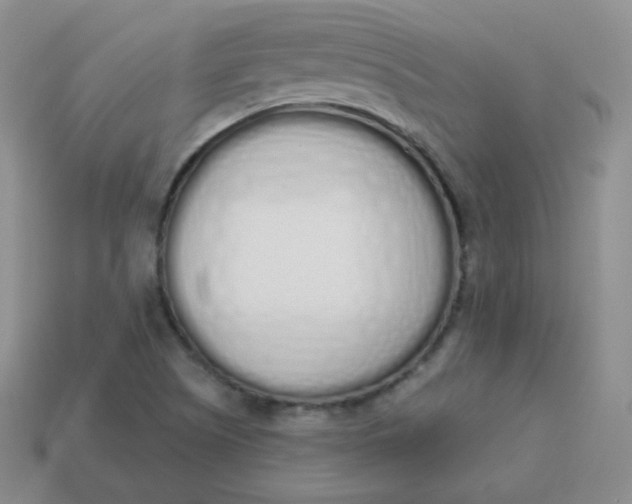 X0000114001505200910161657