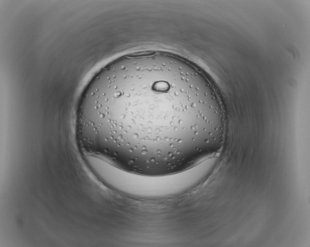 X0000114001508200910161657
