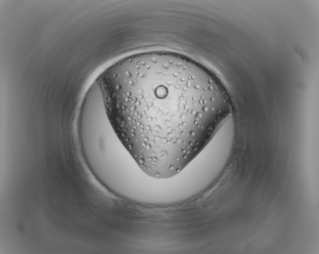 X0000114001516200910161657