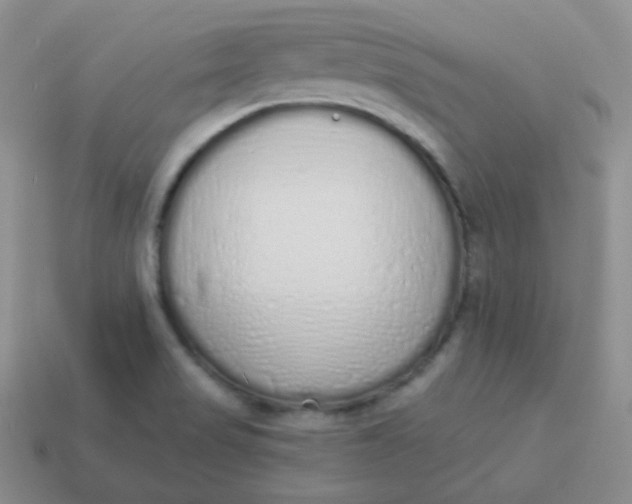 X0000114001517200910161657