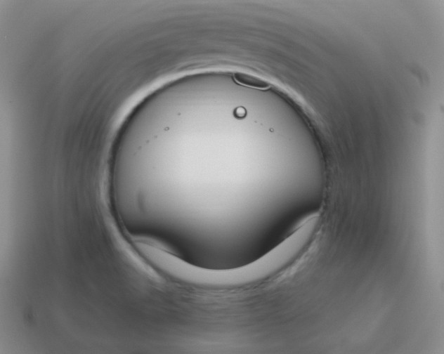 X0000114001518200910161657