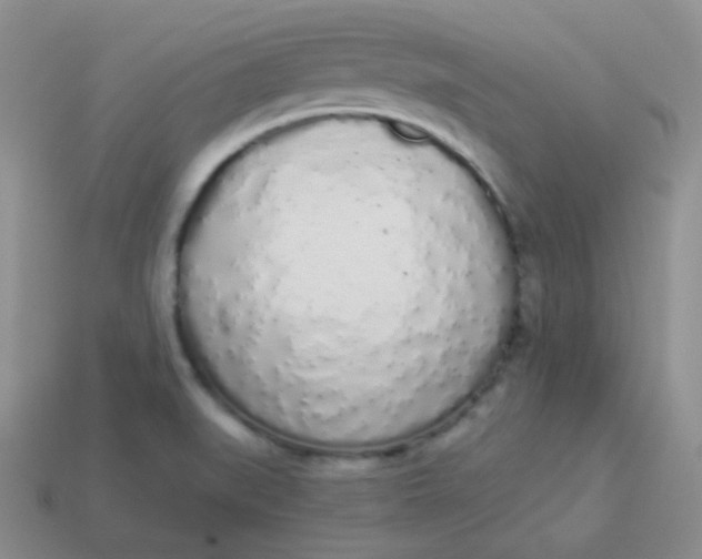 X0000114001519200910161657