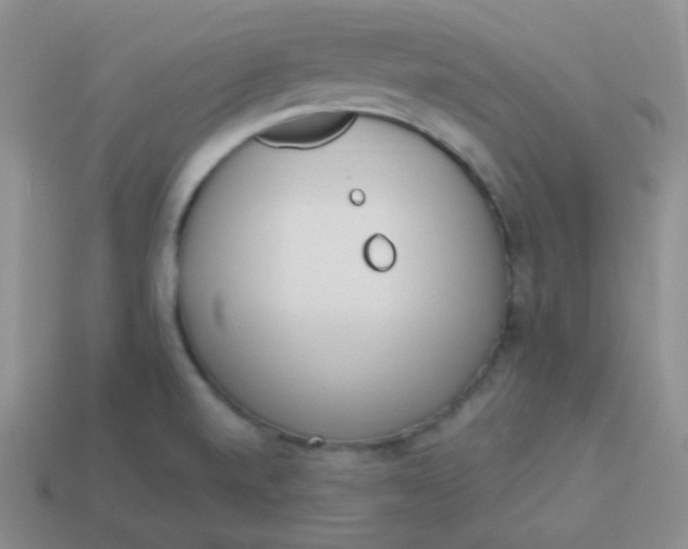 X0000114001520200910161657