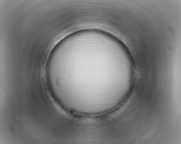 X0000114001521200910161657