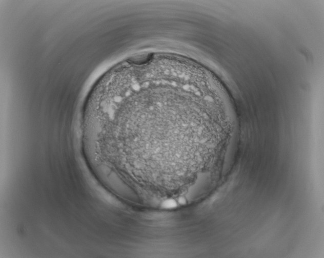X0000114001522200910161657