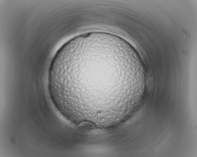 X0000114001523200910161657