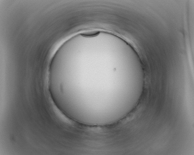 X0000114001524200910161658