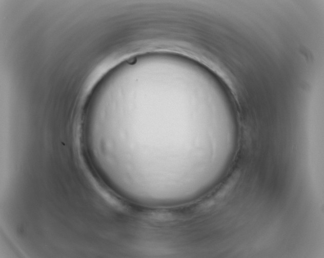 X0000114001525200910161658