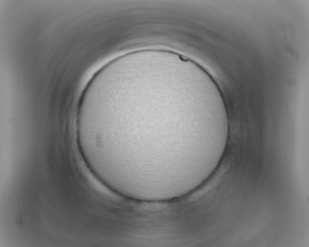X0000114001526200910161658