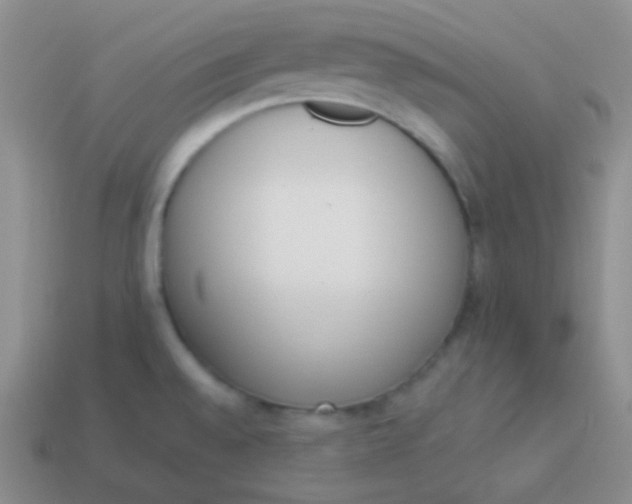 X0000114001528200910161658