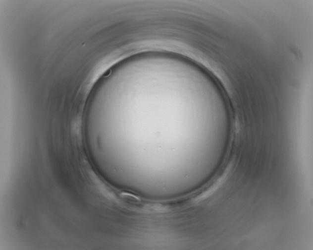 X0000114001529200910161658