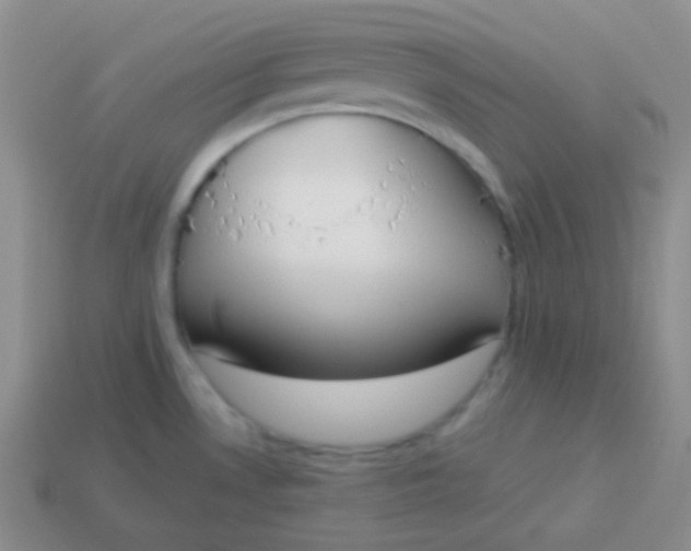 X0000114001530200910161658