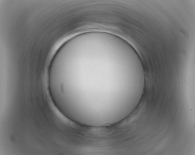 X0000114001531200910161658