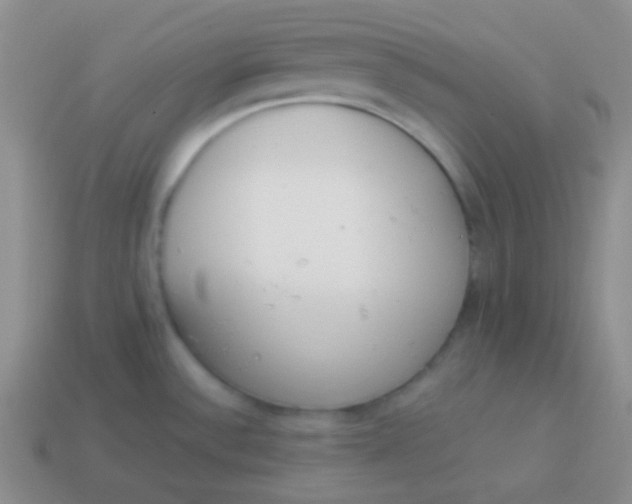 X0000114001532200910161658