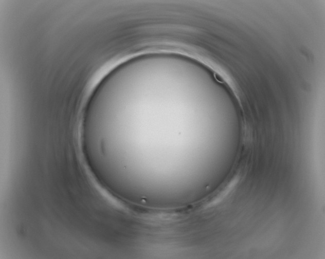 X0000114001533200910161658