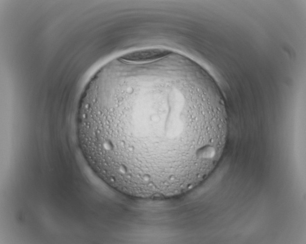 X0000114001534200910161658