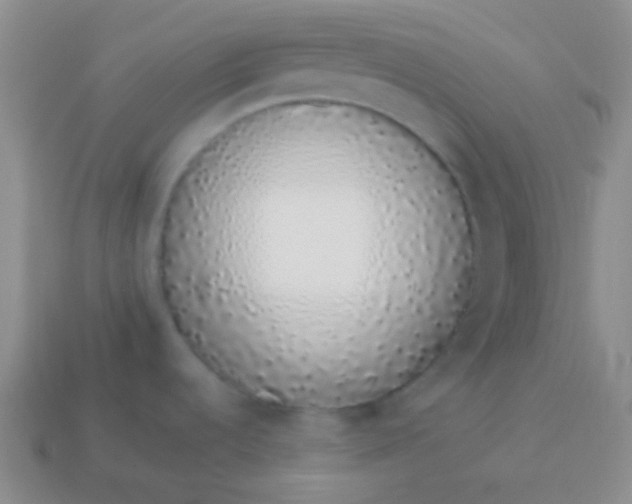 X0000114001536200910161658