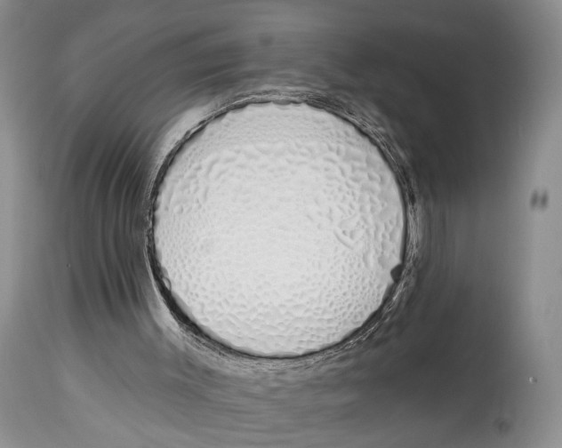 X0000114000003200910231803