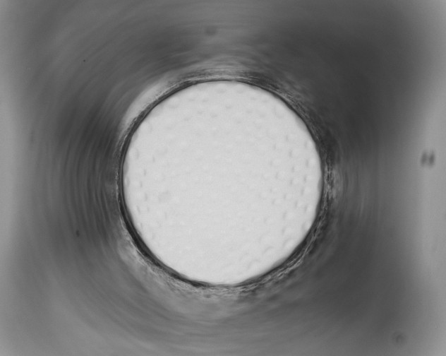 X0000114000004200910231803