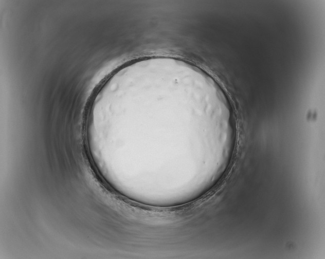 X0000114000008200910231802