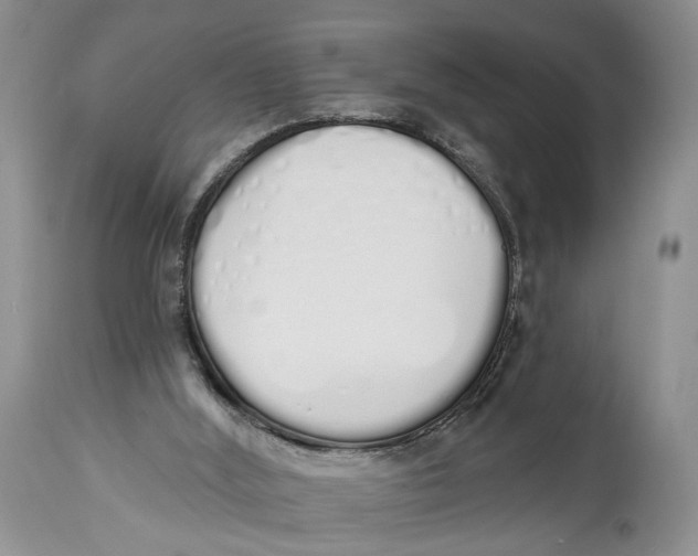 X0000114000012200910231802