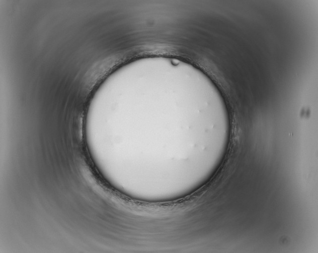 X0000114000014200910231802