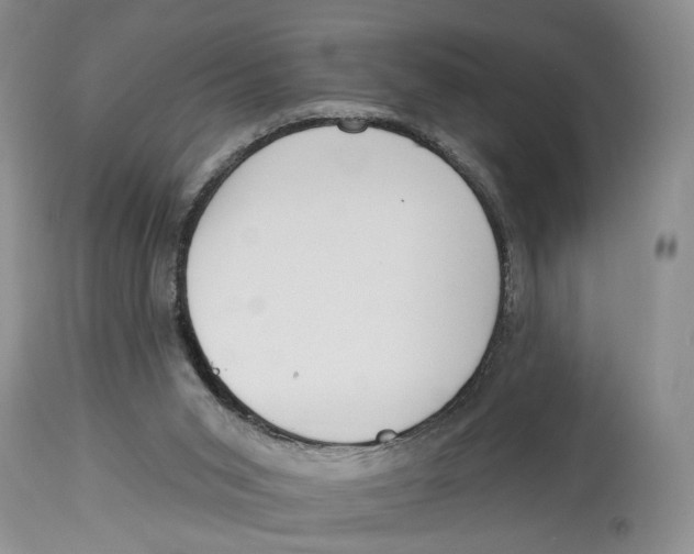 X0000114000015200910231802