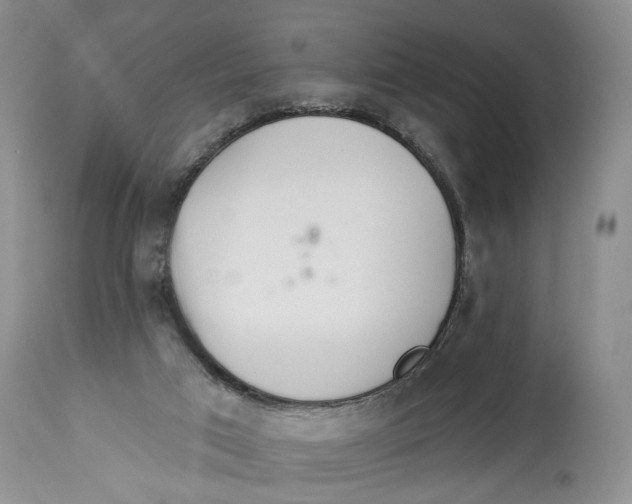 X0000114000017200910231802