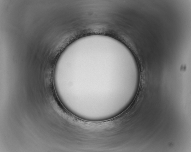 X0000114000018200910231802