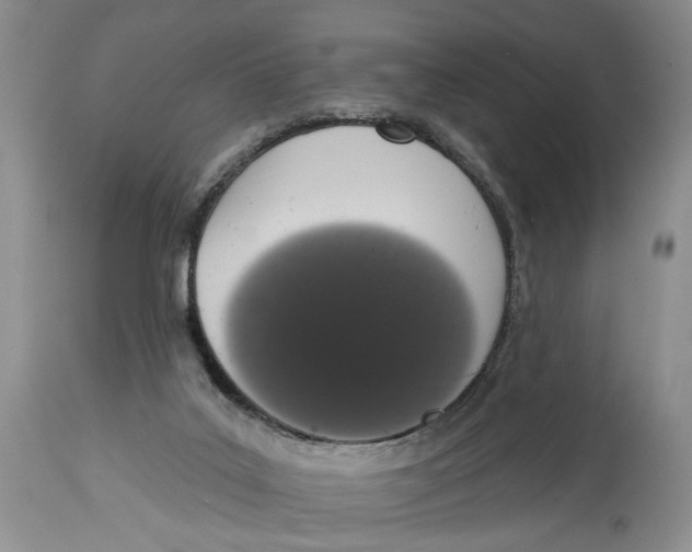 X0000114000019200910231802