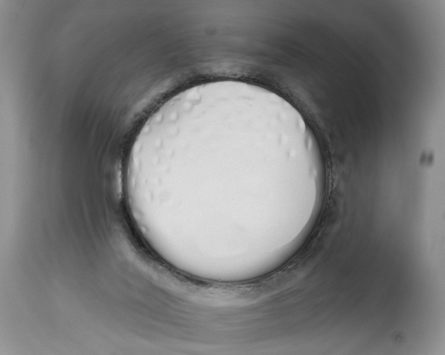 X0000114000020200910231802