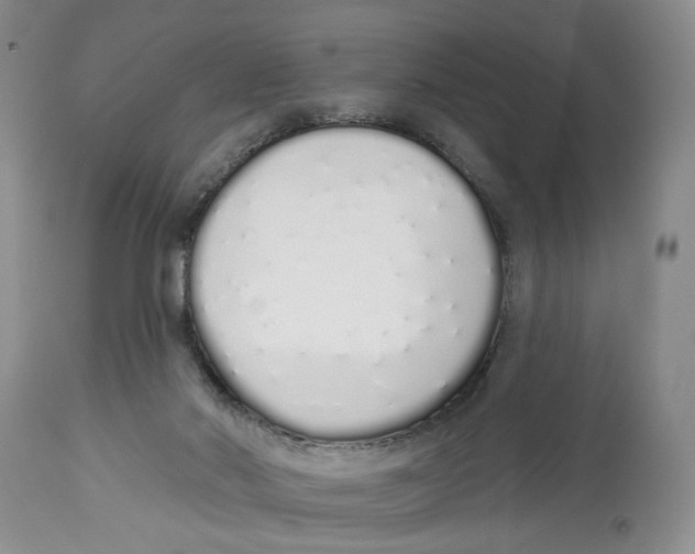 X0000114000022200910231802