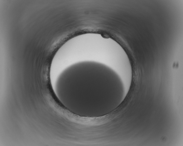 X0000114000023200910231802