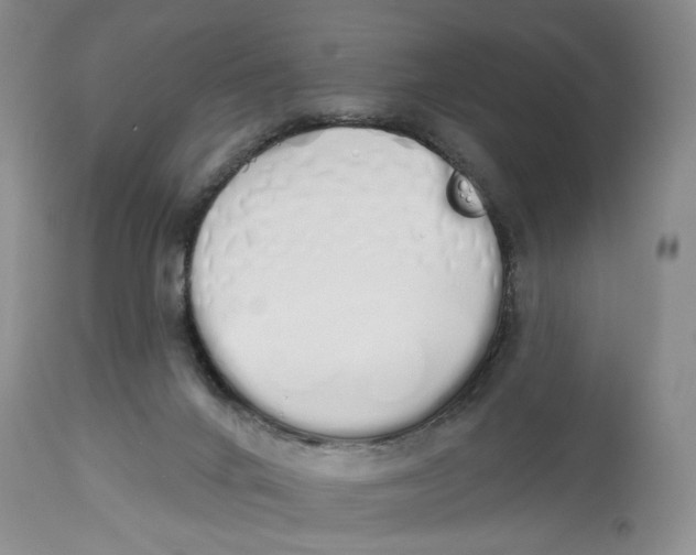 X0000114000024200910231802
