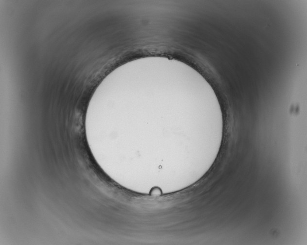 X0000114000025200910231802