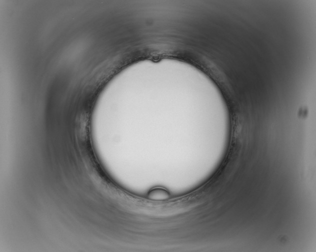 X0000114000026200910231802
