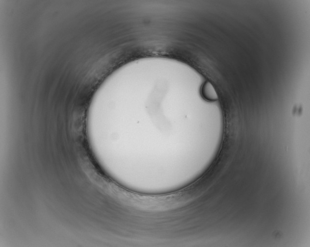 X0000114000030200910231802
