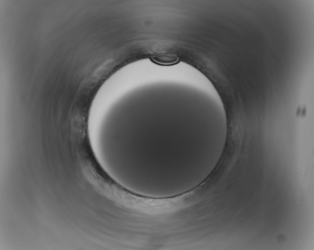 X0000114000031200910231802