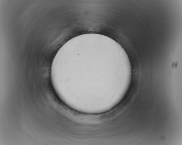 X0000114000032200910231802