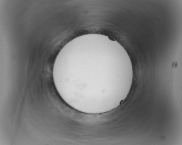 X0000114000037200910231802