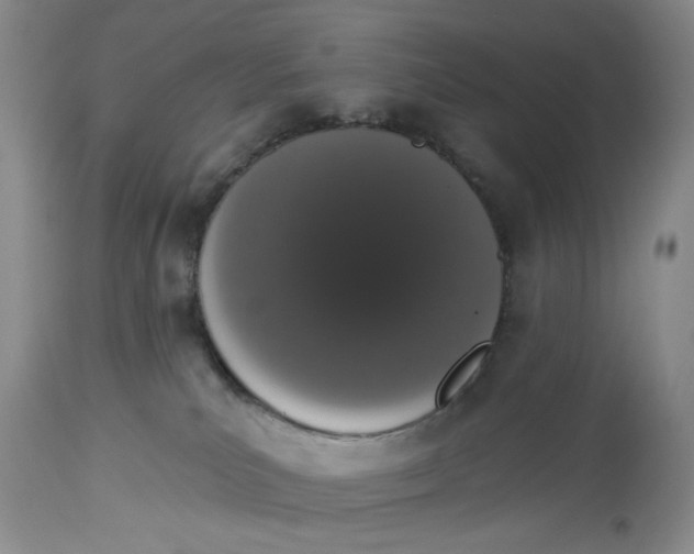 X0000114000039200910231802