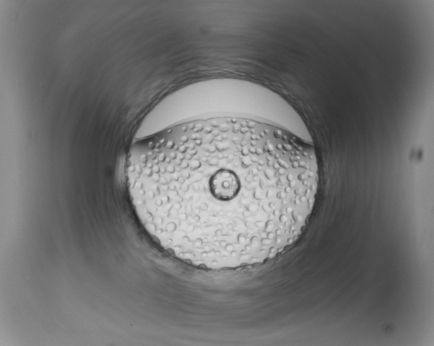 X0000114000041200910231802