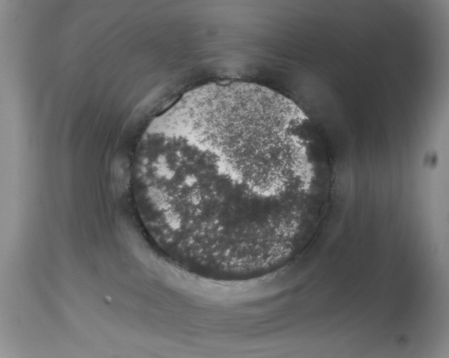 X0000114000043200910231802