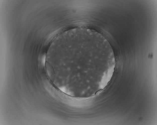 X0000114000047200910231802