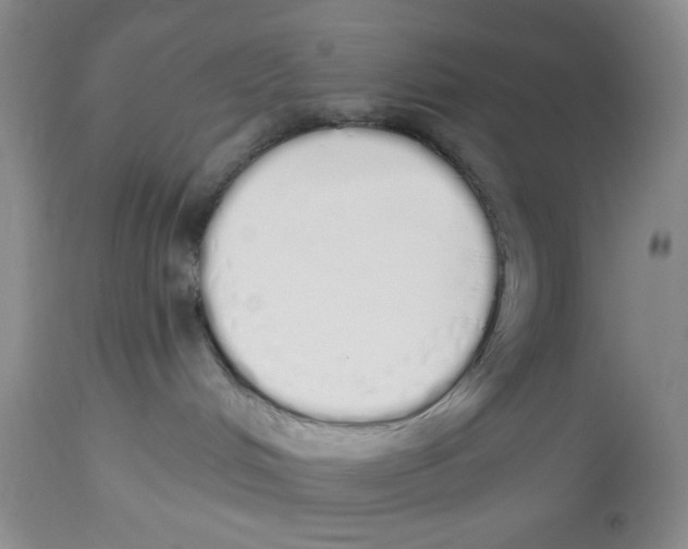 X0000114000048200910231802