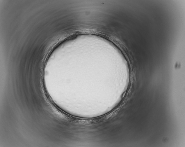 X0000114000049200910231801