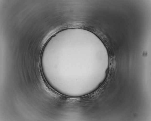 X0000114000051200910231801