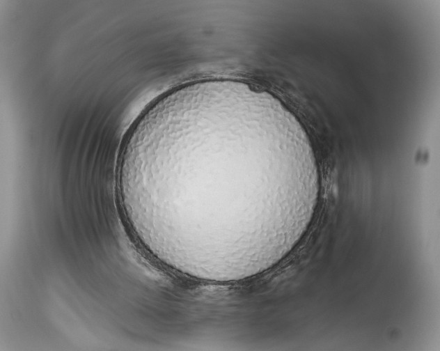 X0000114000052200910231801