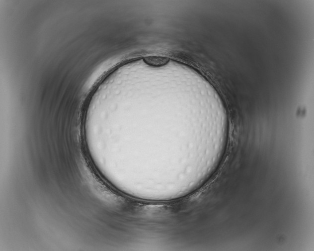 X0000114000054200910231801